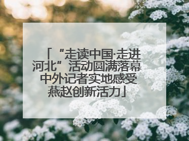 “走读中国·走进河北”活动圆满落幕 中外记者实地感受燕赵创新活力