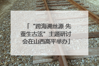 “跨海溯丝源 先蚕生古泫”主题研讨会在山西高平举办