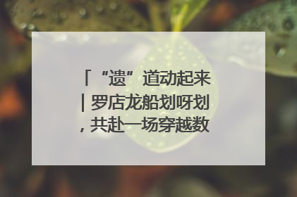 “遗”道动起来｜罗店龙船划呀划，共赴一场穿越数百年的端午之约