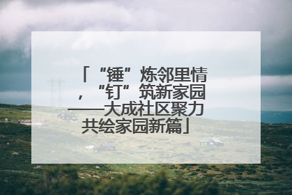 “锤”炼邻里情，“钉”筑新家园——大成社区聚力共绘家园新篇