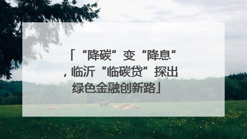 “降碳”变“降息”，临沂“临碳贷”探出绿色金融创新路