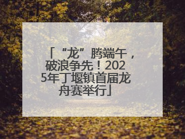 “龙”腾端午，破浪争先！2025年丁堰镇首届龙舟赛举行