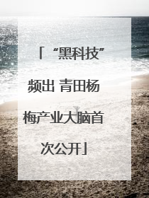 “黑科技”频出 青田杨梅产业大脑首次公开