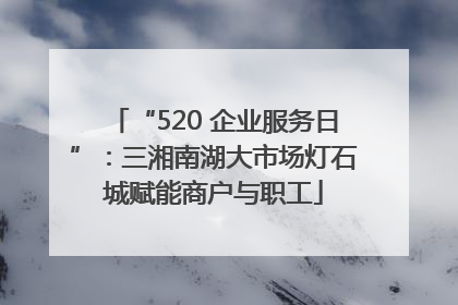 “520 企业服务日”：三湘南湖大市场灯石城赋能商户与职工