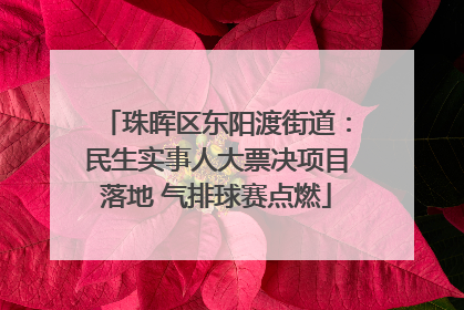 珠晖区东阳渡街道：民生实事人大票决项目落地 气排球赛点燃