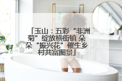 玉山：五彩“非洲菊”绽放横街镇 朵朵“振兴花”催生乡村共富图景