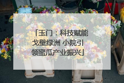 玉门：科技赋能戈壁绿洲 小院引领蜜瓜产业振兴