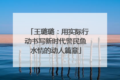 王璐璐：用实际行动书写新时代警民鱼水情的动人篇章