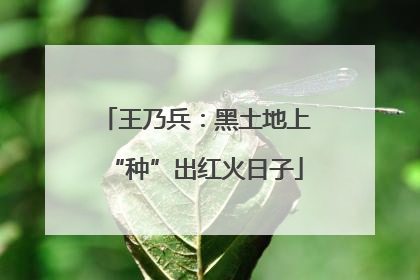 王乃兵：黑土地上“种”出红火日子