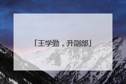王学勤，升副部