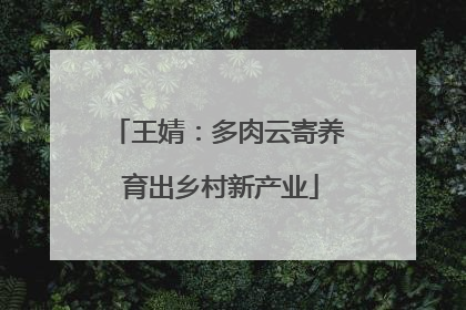 王婧：多肉云寄养 育出乡村新产业