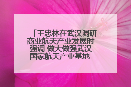 王忠林在武汉调研商业航天产业发展时强调 做大做强武汉国家航天产业基地 打造具有全国影响力的“中国星谷”