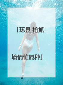 环县 抢抓墒情忙夏种