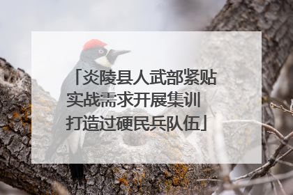 炎陵县人武部紧贴实战需求开展集训 打造过硬民兵队伍