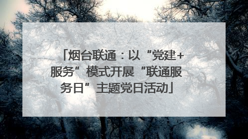 烟台联通：以“党建+服务”模式开展“联通服务日”主题党日活动