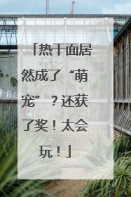 热干面居然成了“萌宠”？还获了奖！太会玩！