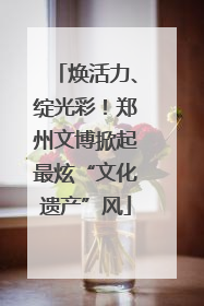 焕活力、绽光彩！郑州文博掀起最炫“文化遗产”风