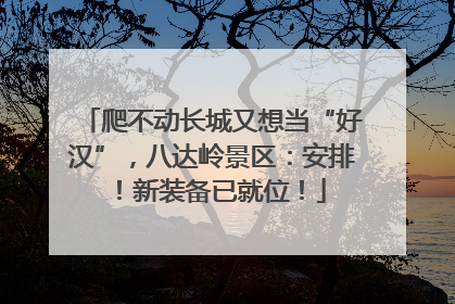 爬不动长城又想当“好汉”，八达岭景区：安排！新装备已就位！