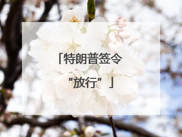 特朗普签令“放行”