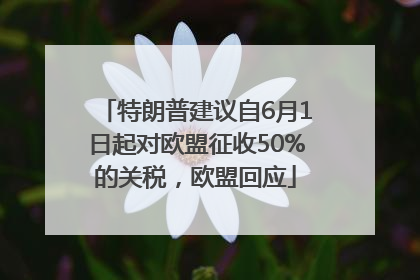 特朗普建议自6月1日起对欧盟征收50%的关税，欧盟回应