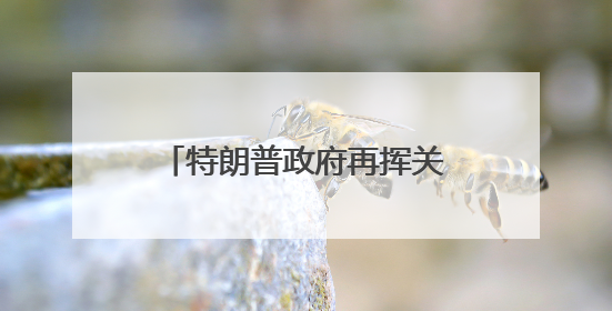 特朗普政府再挥关税大棒 欧盟、苹果、三星遭“突袭”