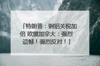 特朗普：钢铝关税加倍 欧盟加拿大：强烈遗憾！强烈反对！