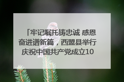 牢记嘱托铸忠诚 感恩奋进谱新篇，西盟县举行庆祝中国共产党成立104周年文艺晚会