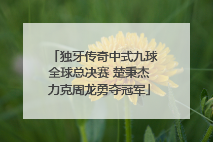 独牙传奇中式九球全球总决赛 楚秉杰力克周龙勇夺冠军