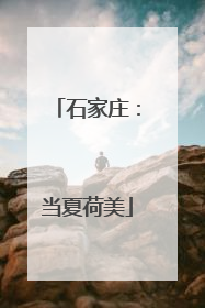 石家庄：当夏荷美