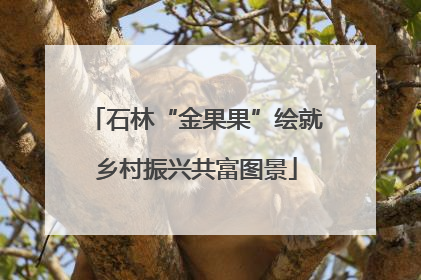 石林“金果果”绘就乡村振兴共富图景