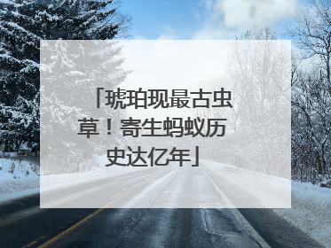 琥珀现最古虫草！寄生蚂蚁历史达亿年
