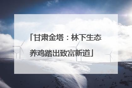 甘肃金塔：林下生态养鸡踏出致富新道