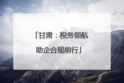 甘肃：税务领航 助企合规前行