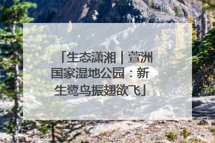 生态潇湘｜萱洲国家湿地公园：新生鹭鸟振翅欲飞