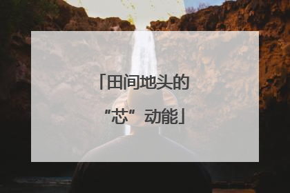 田间地头的“芯”动能