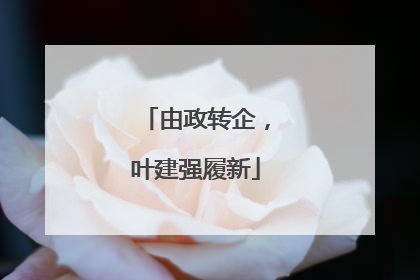 由政转企，叶建强履新