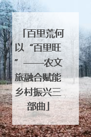 百里荒何以“百里旺”——农文旅融合赋能乡村振兴三部曲