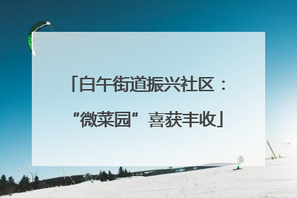 白午街道振兴社区：“微菜园”喜获丰收