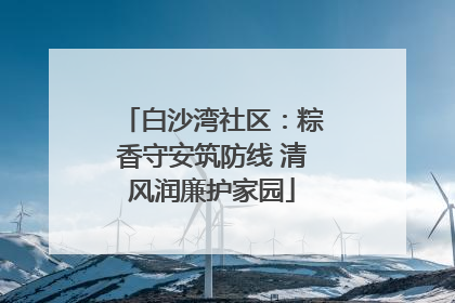 白沙湾社区：粽香守安筑防线 清风润廉护家园