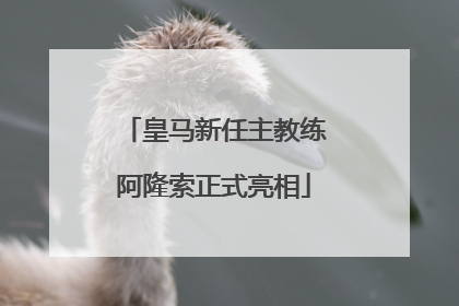 皇马新任主教练阿隆索正式亮相