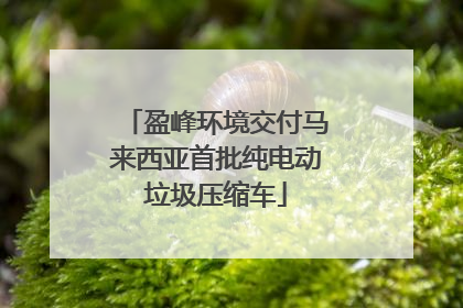 盈峰环境交付马来西亚首批纯电动垃圾压缩车