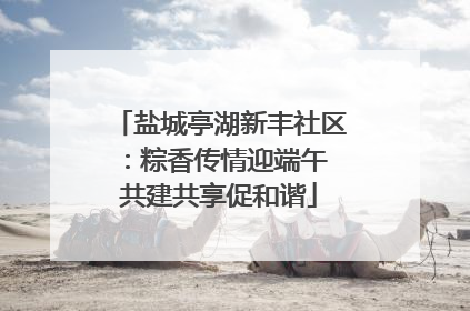 盐城亭湖新丰社区：粽香传情迎端午 共建共享促和谐