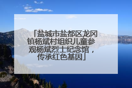 盐城市盐都区龙冈镇杨斌村组织儿童参观杨斌烈士纪念馆，传承红色基因