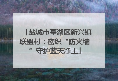 盐城市亭湖区新兴镇联盟村：密织“防火墙”守护蓝天净土