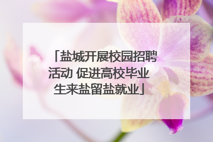 盐城开展校园招聘活动 促进高校毕业生来盐留盐就业