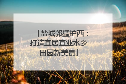 盐城郭猛护西：打造宜居宜业水乡田园新美景