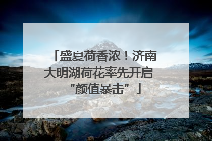 盛夏荷香浓！济南大明湖荷花率先开启“颜值暴击”