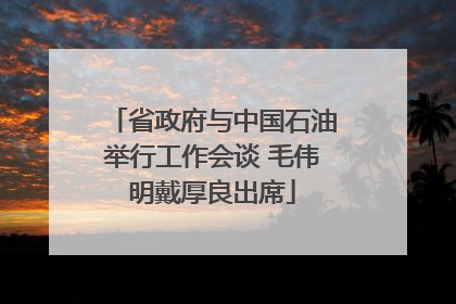 省政府与中国石油举行工作会谈 毛伟明戴厚良出席
