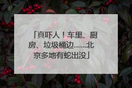 真吓人！车里、厨房、垃圾桶边……北京多地有蛇出没