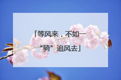 等风来，不如一“骑”追风去